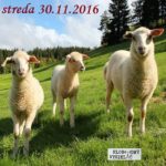 Farmári 06