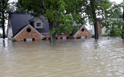 Texas čakajú ďalšie záplavy, úrady hlásia osem obetí na životoch – Hlavné správy