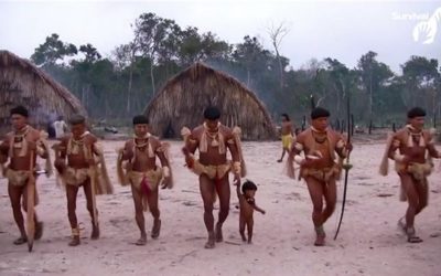 Těžaři v Amazonii pobili indiány, kteří se nikdy nesetkali s civilizací 