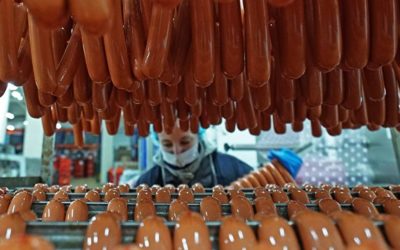 Rusko rozšírilo embargo voči EÚ a USA o dovoz živých ošípaných