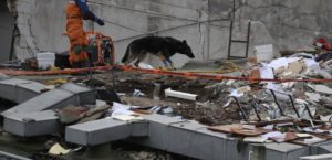 ZEMETRASENIE v Iráne si vyžiadalo 350 mŕtvych a 5470 zranených. 1