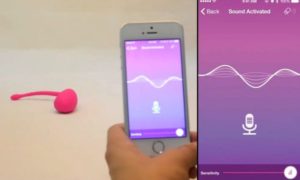 lovense-app 1