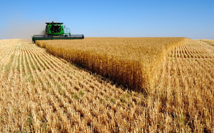 Slovenskí farmári v EP svedčili o zneužívaní agrodotácií a bojoch s úradmi. 1