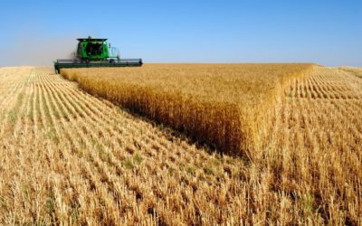 Slovenskí farmári v EP svedčili o zneužívaní agrodotácií a bojoch s úradmi.