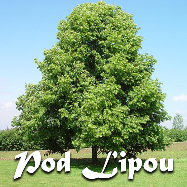 Pod lipou 1