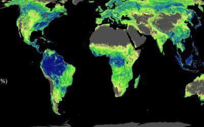 Klimatická krize má řešení: podle švýcarských vědců je nutné vysadit bilion stromů.