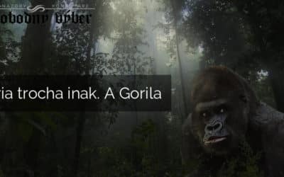 Sýria trocha inak. A Gorila
