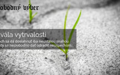 Chvála vytrvalosti