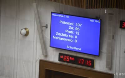 SNS vyzýva Čaputovú, aby konala v súvislosti s Istanbulským dohovorom.