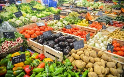 Reťazce zdvíhajú ceny potravín a pritom vypaľujú pestovateľov. Zahraničný tovar vydávajú za slovenský, varuje šéfka Agrárnej komory.