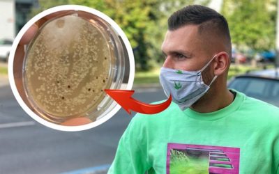 Bakterie, zlatý stafylokok i plísně. Zkoumali jsme roušky.