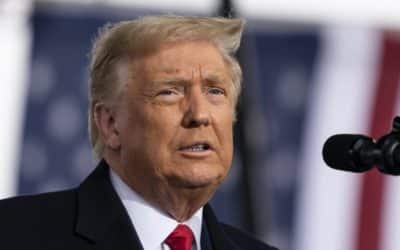 Po tom, čo Bidenovi pribudlo znenazdajky množstvo prihodených hlasov, sa Trump vyhlásil za víťaza v Michigane a tvrdí, že v skutočnosti zvíťazil on. Zrejme sme svedkami kolosálneho volebného podvodu.