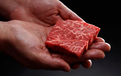 Singapur jako první povolil prodej umělého kuřecího masa. Nugetky jsou vyrobené v bioreaktoru.
