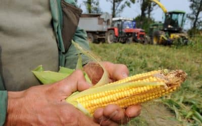 Slovensko o krok bližšie k zákazu GMO.