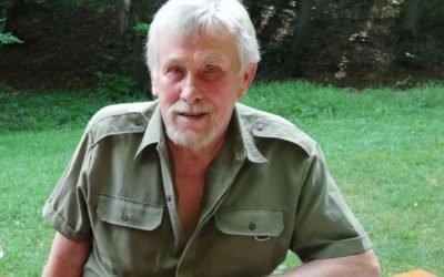 Lesník: Premnožené medvede treba riešiť, len na hornej Nitre ich je šesťdesiat.