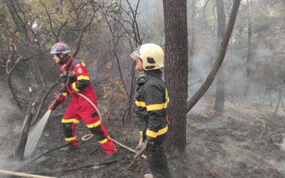 Slovenským hasičom sa podarilo dostať pod kontrolu požiare v gréckej Avgarii.