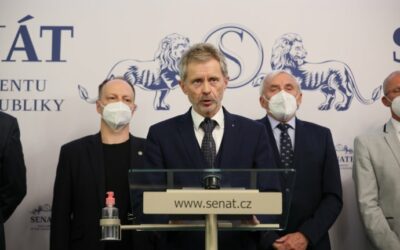 Zeman aktuálně schopen vykonávat pracovní povinnosti, řekl Vystrčil.