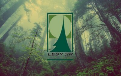 Lesy SR: Schválená reforma národných parkov je šitá horúcou ihlou.
