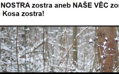 Končím s Kosou a nejspíše i Slobodným vysielačem