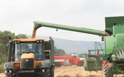 Zdražejú múka, chlieb, olej. Kvôli vojne frontálne rastú ceny energií či obilia.
