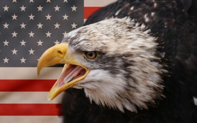 Válka na Ukrajině je ve skutečnosti o změně režimu v Rusku, o kterou USA usilují.