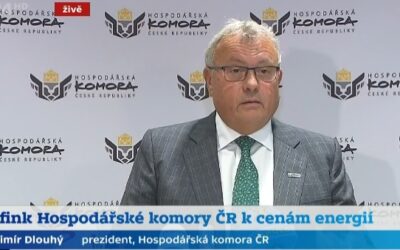 Drahé energie mají fatální dopad na firmy, nelze vyloučit sociální nepokoje, říká Dlouhý.