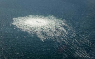 Výbuchy plynovodu Nord Stream narušily ekosystém Baltského moře.