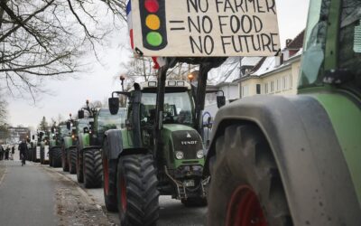 Německý boj o demokracii.