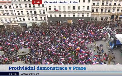 Vláda je asociální a vyzývám ji k demisi, řekl Rajchl na protivládní demonstraci.
