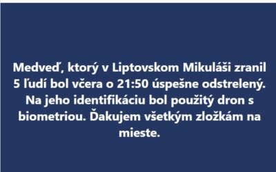 Zastrelili medveďa, ktorý zranil v Liptovskom Mikuláši piatich ľudí.