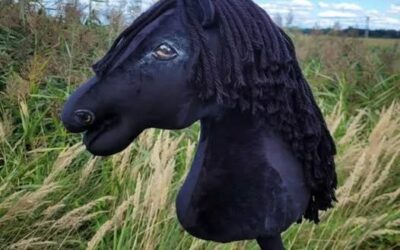 Eduard Chmelár: Trójsky „hobby horse“ vládnej koalície.